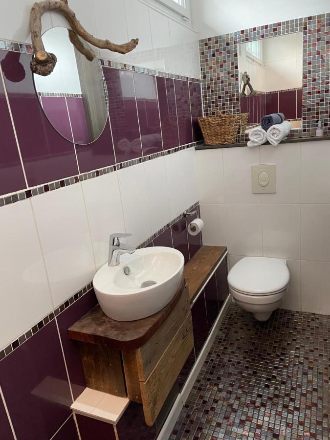 Le Crusoe A L'Etang D'Anty - Appartement Saint-Nabord Dış mekan fotoğraf