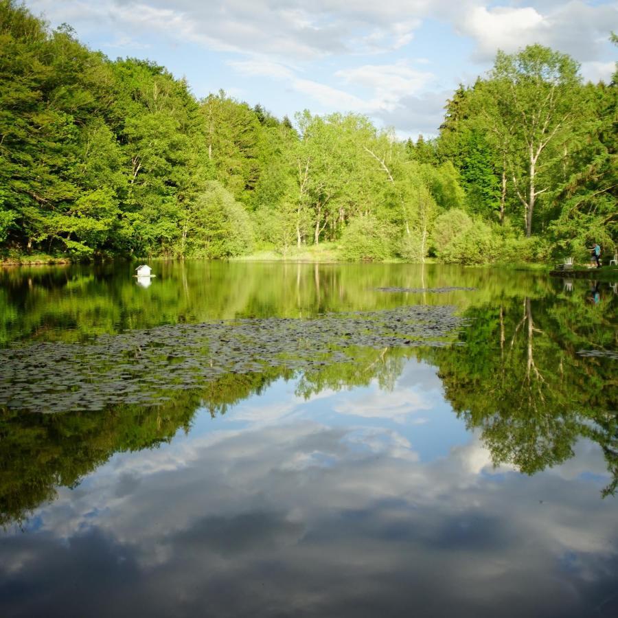 Le Crusoe A L'Etang D'Anty - Appartement Saint-Nabord Dış mekan fotoğraf