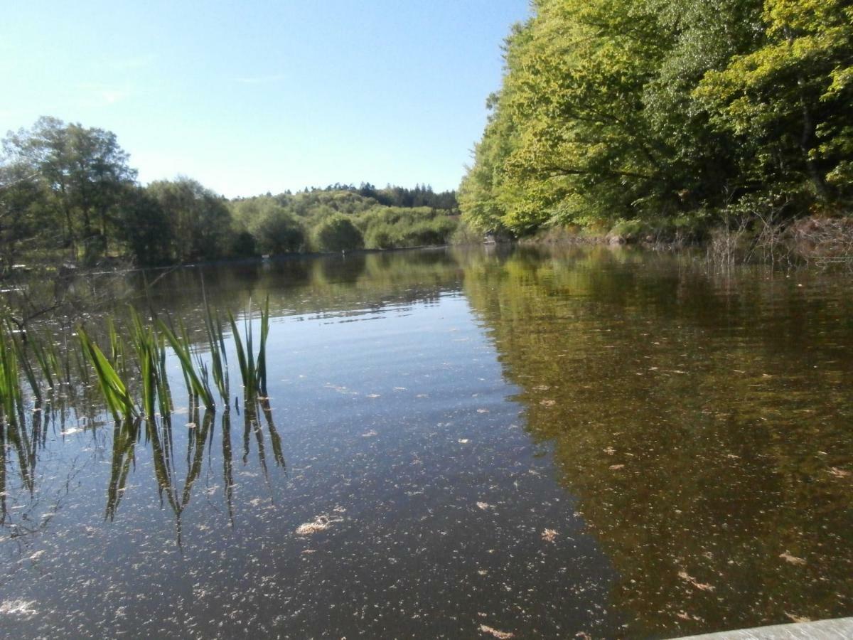 Le Crusoe A L'Etang D'Anty - Appartement Saint-Nabord Dış mekan fotoğraf